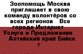 Зоопомощь.Москва приглашает в свою команду волонтёров со всех регионов - Все города Интернет » Услуги и Предложения   . Алтайский край,Бийск г.